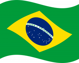 br flag